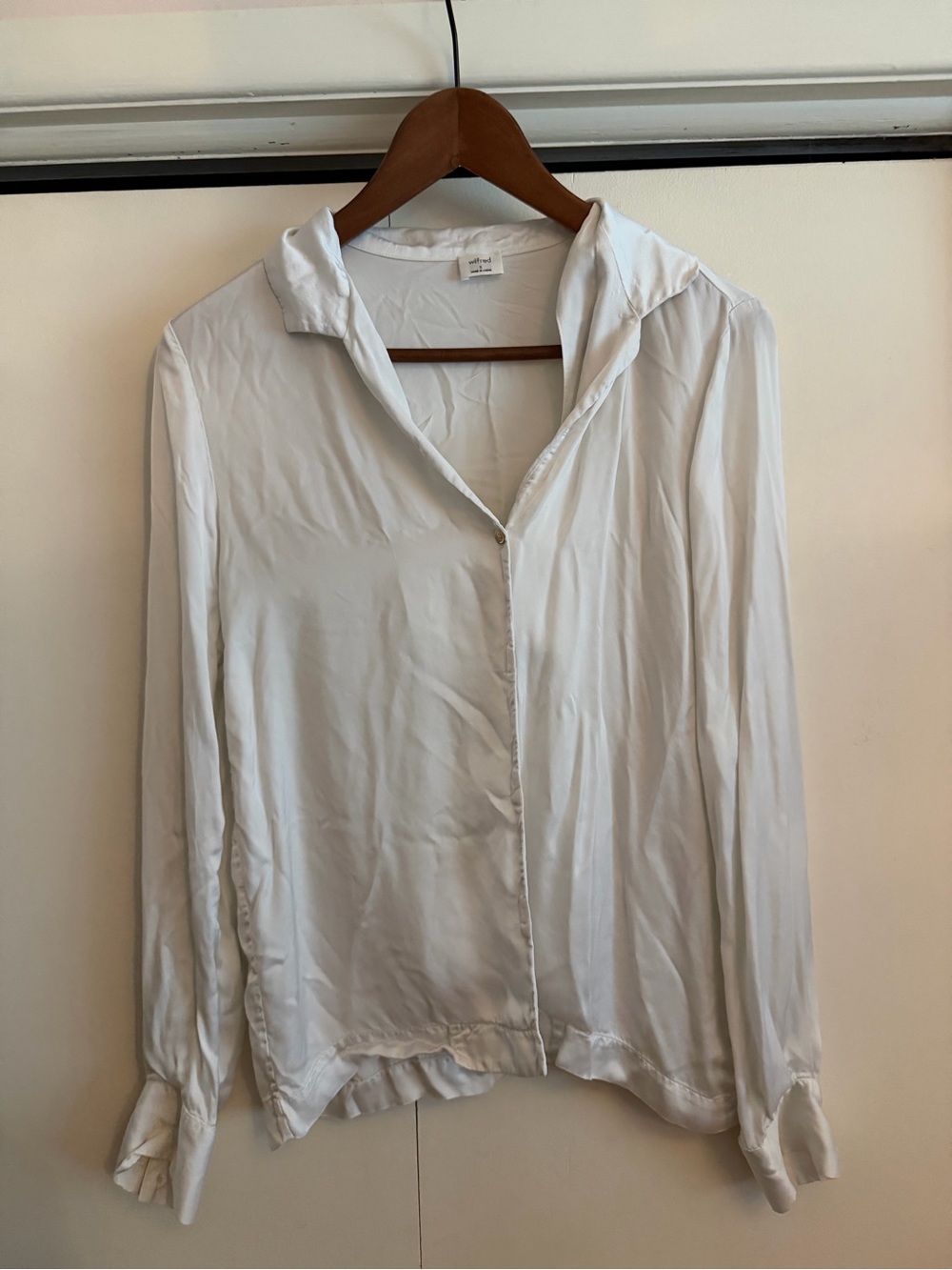 Wilfred/Aritzia silky blouse.